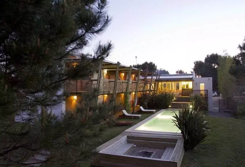 ホテル Posada Arenas De José Ignacio