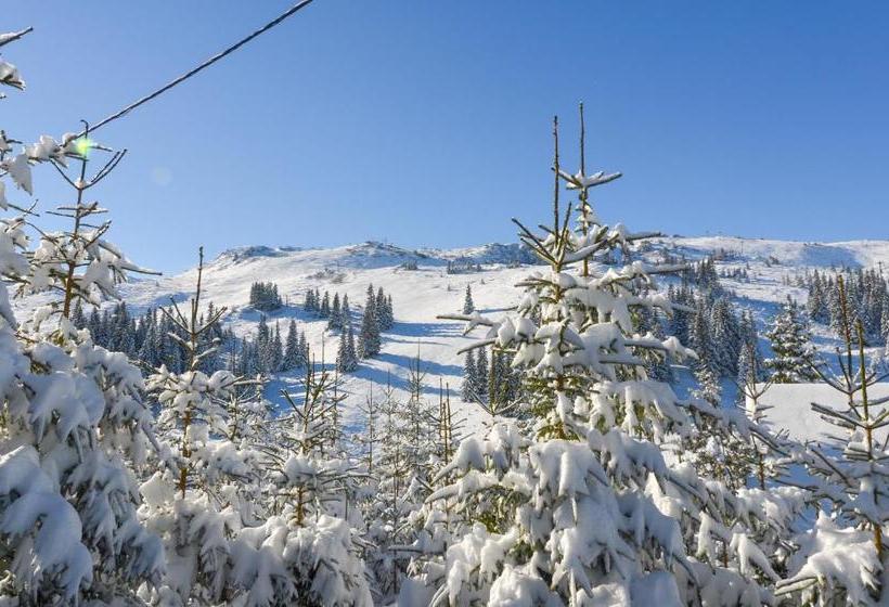 هاستل Challet Lovački Rog