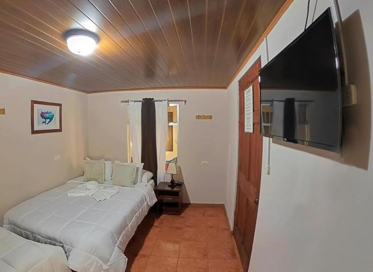 Casa Jungle Monteverde B&b