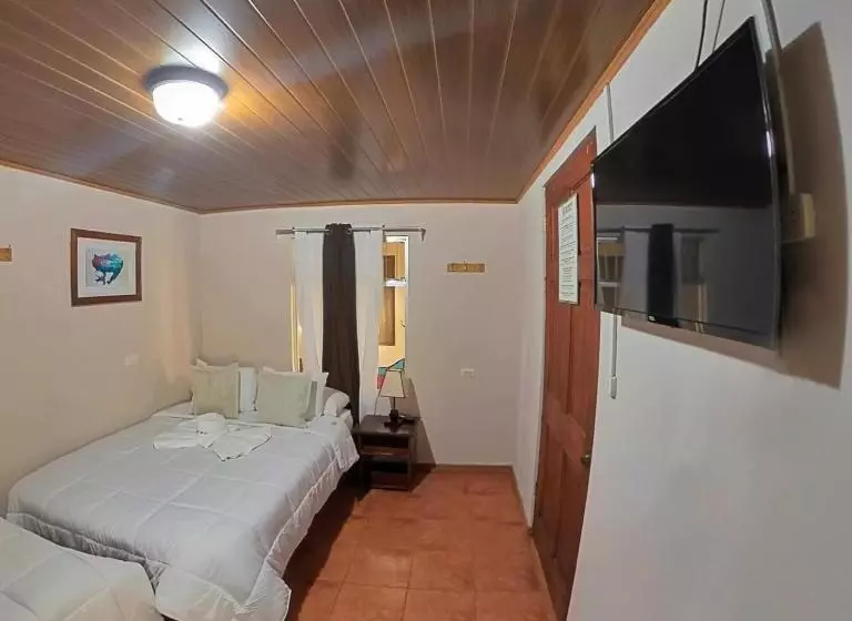 Casa Jungle Monteverde B&b