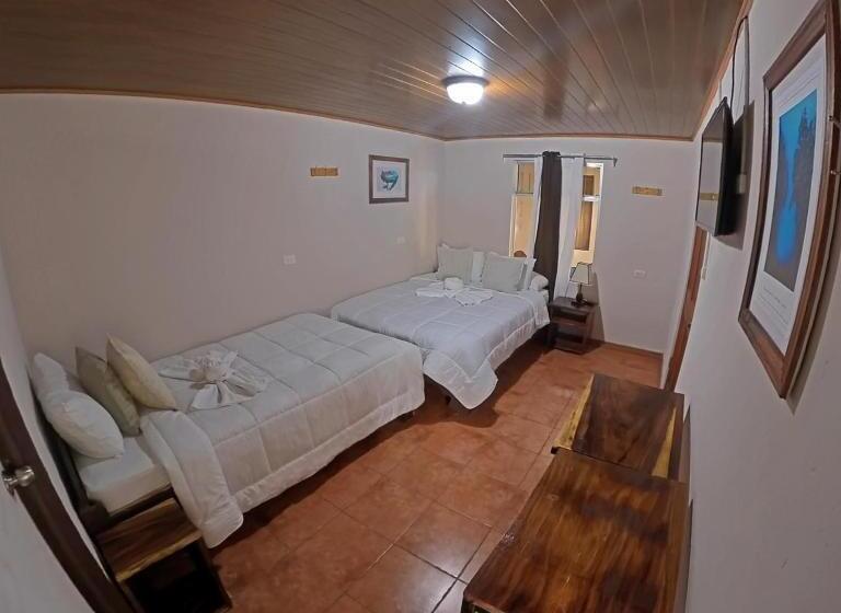 Casa Jungle Monteverde B&b