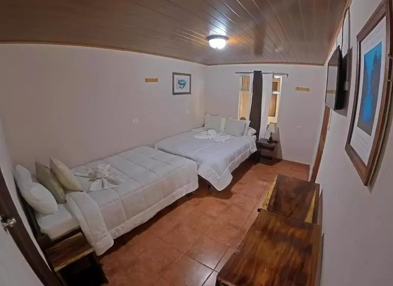 Casa Jungle Monteverde B&b