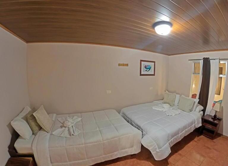 Casa Jungle Monteverde B&b