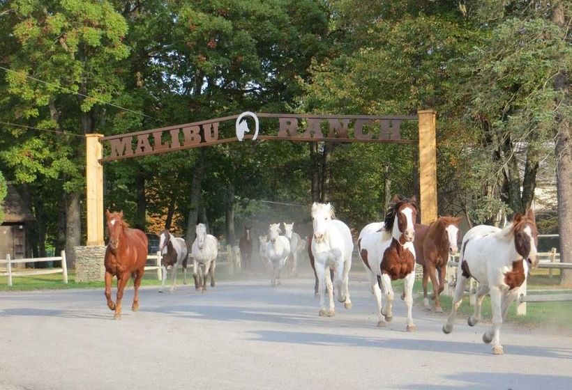 Сельский отель Malibu Dude Ranch