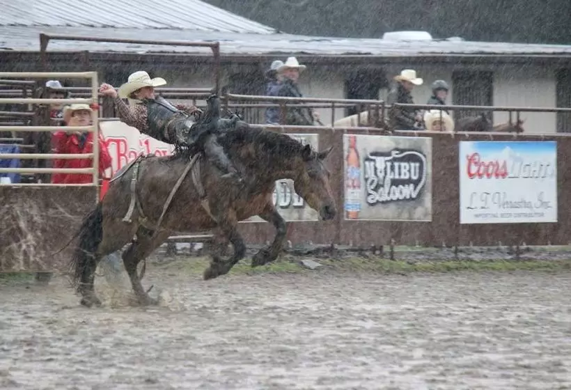 田舎風ホテル Malibu Dude Ranch
