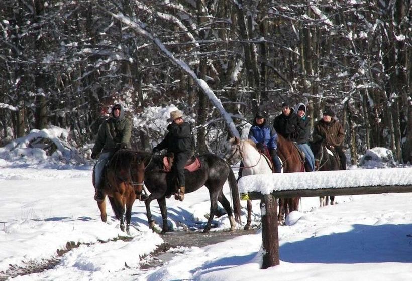 Сельский отель Malibu Dude Ranch