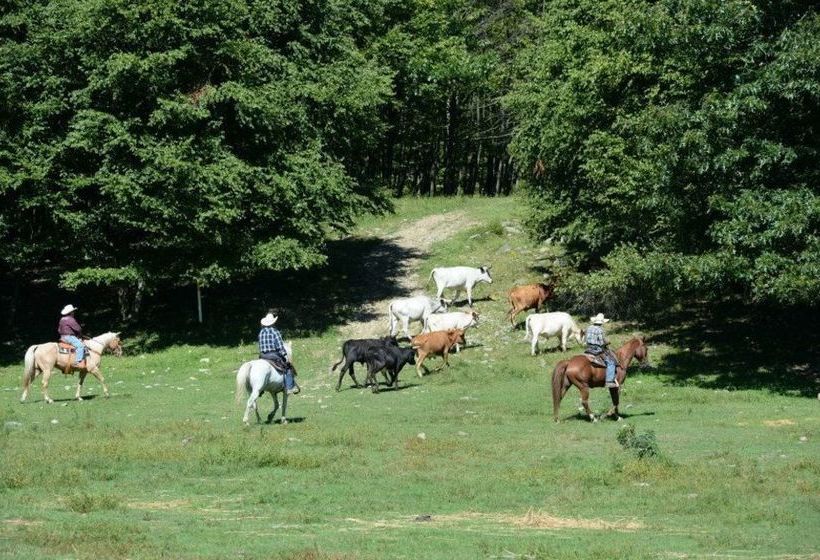 Сельский отель Malibu Dude Ranch