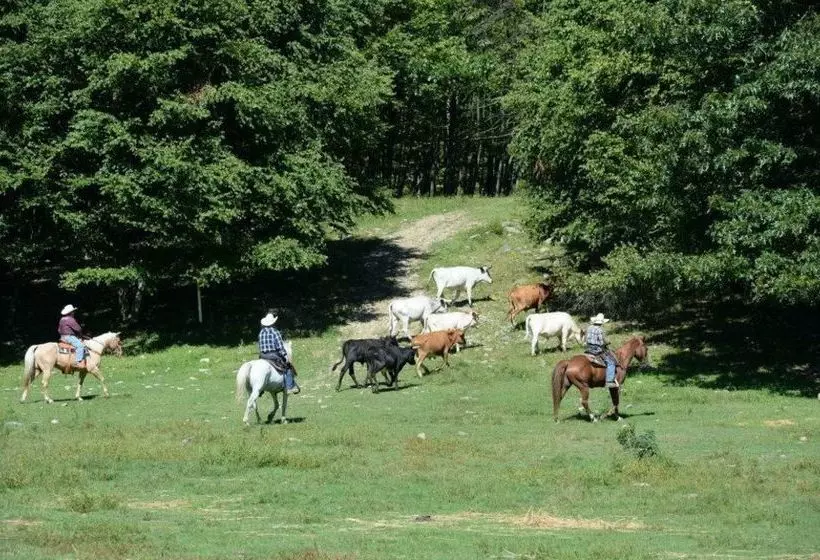 田舎風ホテル Malibu Dude Ranch