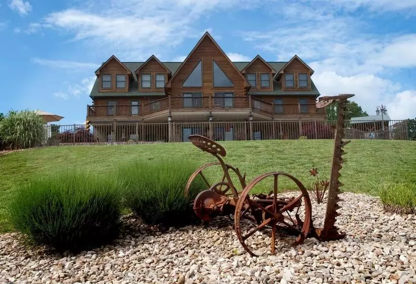 Shirley S Bed And Breakfast
