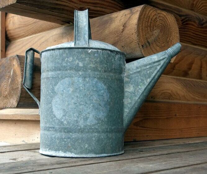 Shirley S Bed And Breakfast