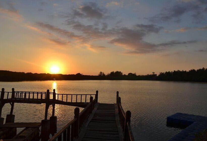 The Rabbit Tree Hostel