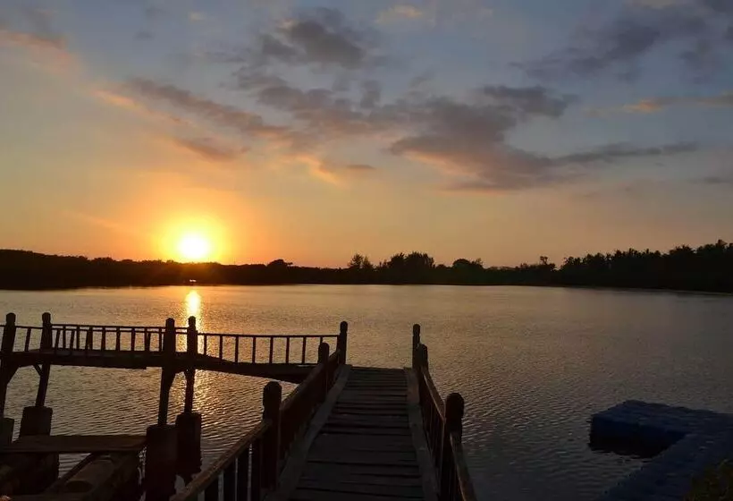 The Rabbit Tree Hostel