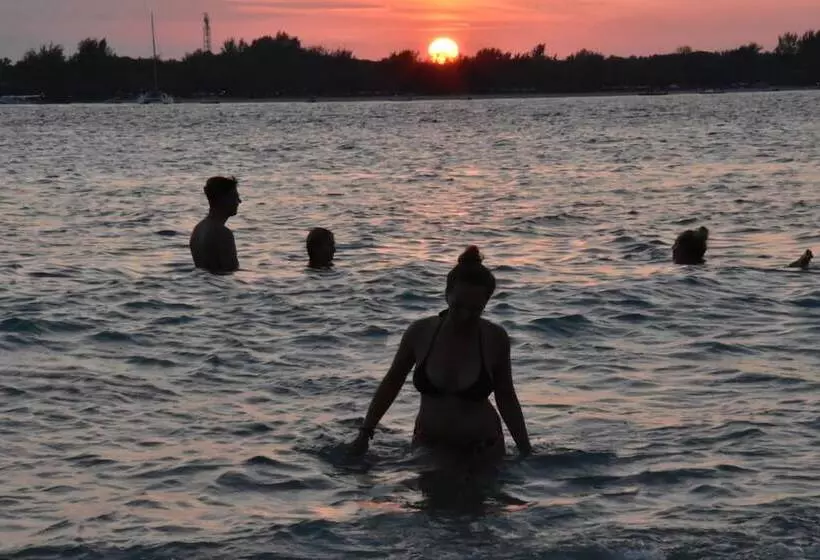 The Rabbit Tree Hostel