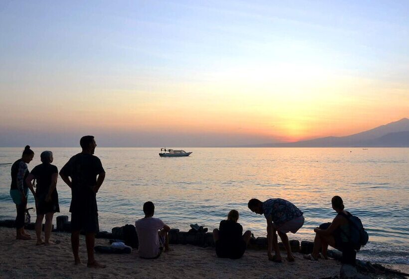 The Rabbit Tree Hostel
