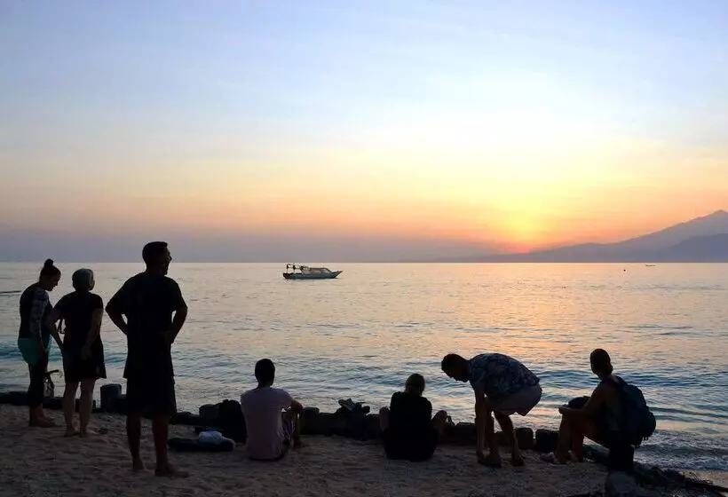 The Rabbit Tree Hostel