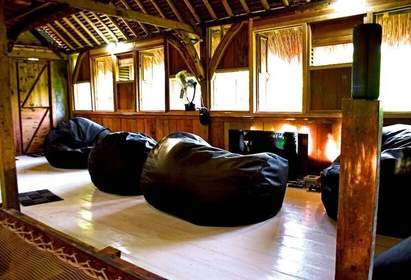 The Rabbit Tree Hostel