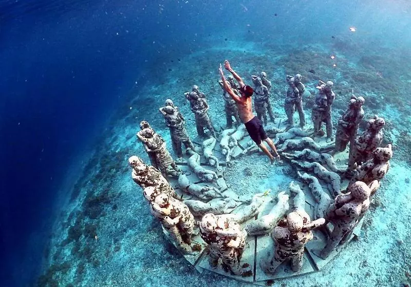 The Rabbit Tree Hostel