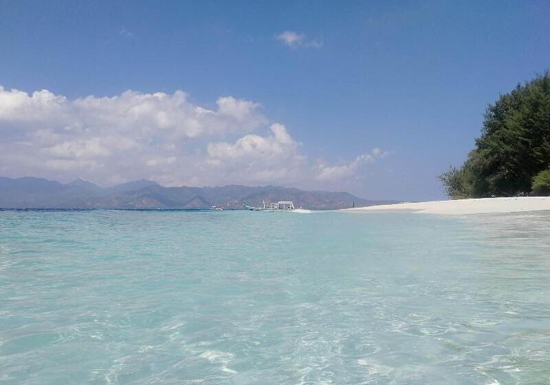 The Rabbit Tree Hostel