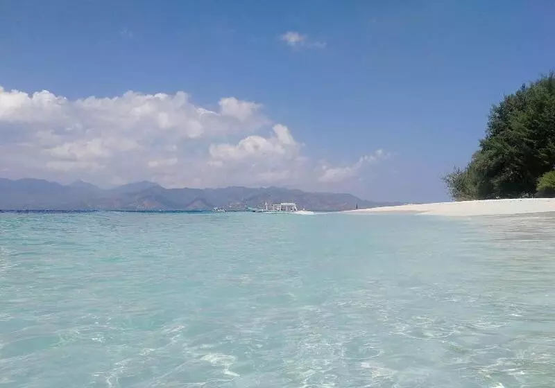 The Rabbit Tree Hostel