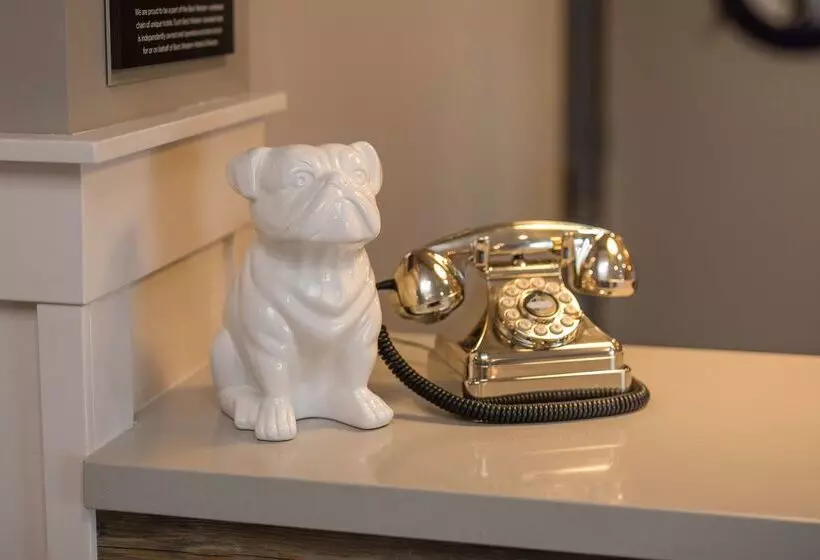 Aristocrat Hotel, Bw Signature Collection