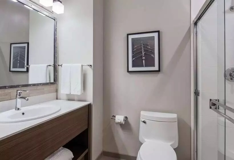 Aristocrat Hotel, Bw Signature Collection