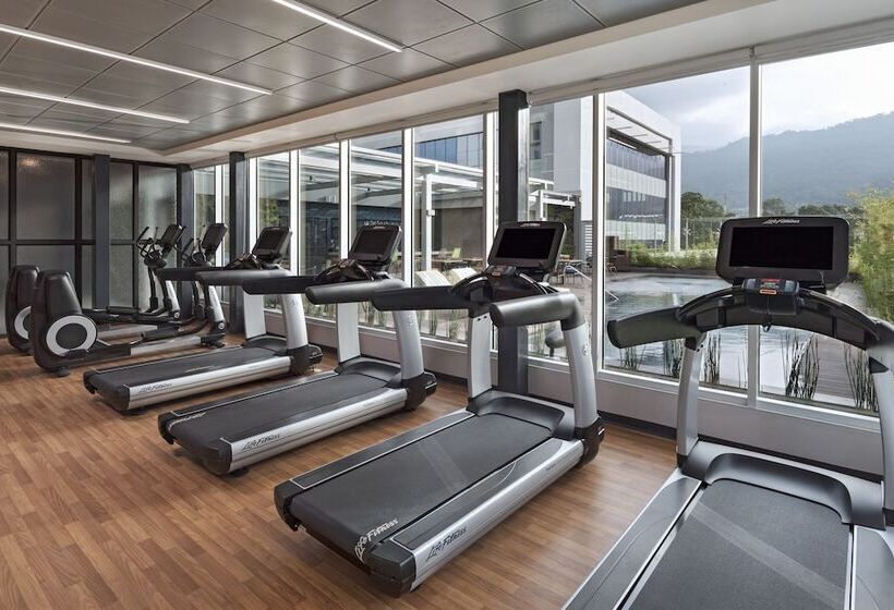 酒店 Hyatt Place San Pedro