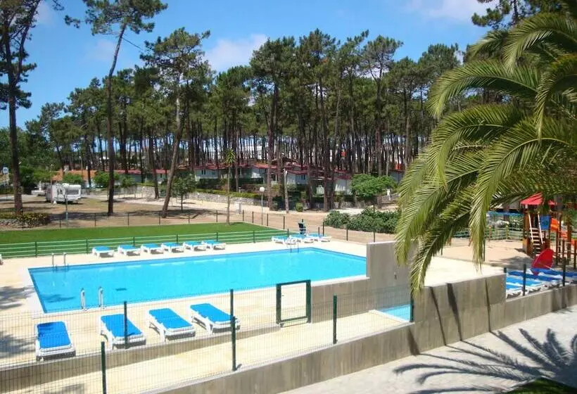 ホテル Parque De Campismo Orbitur Valado