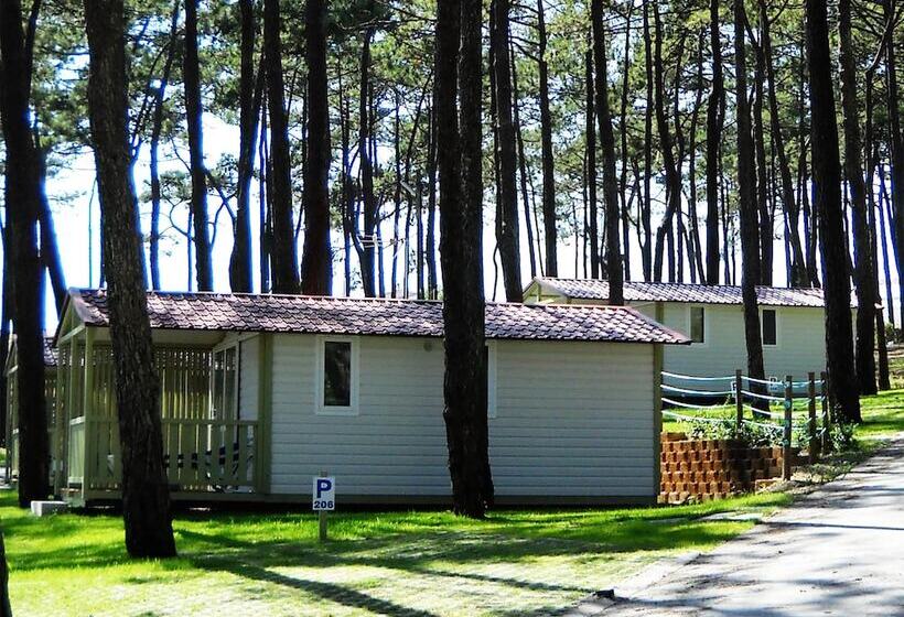 فندق Parque De Campismo Orbitur Valado