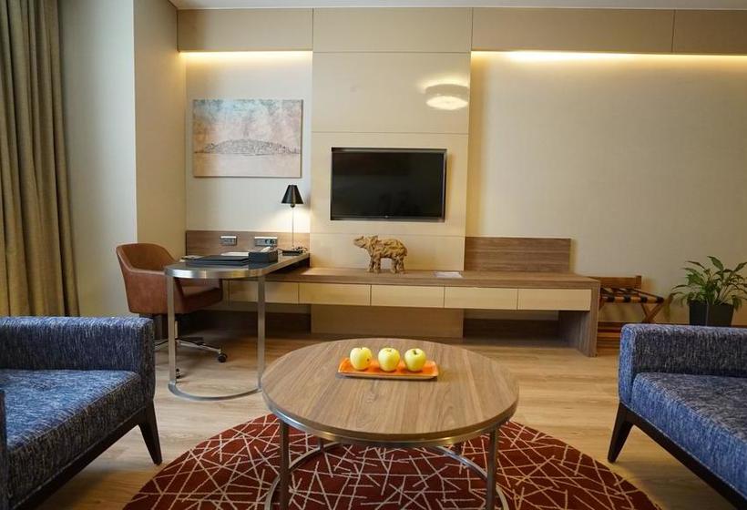 ホテル Tryp By Wyndham Istanbul Basin Ekspres