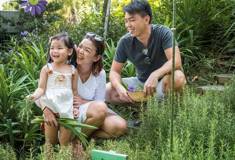 Novotel Singapore On Stevens