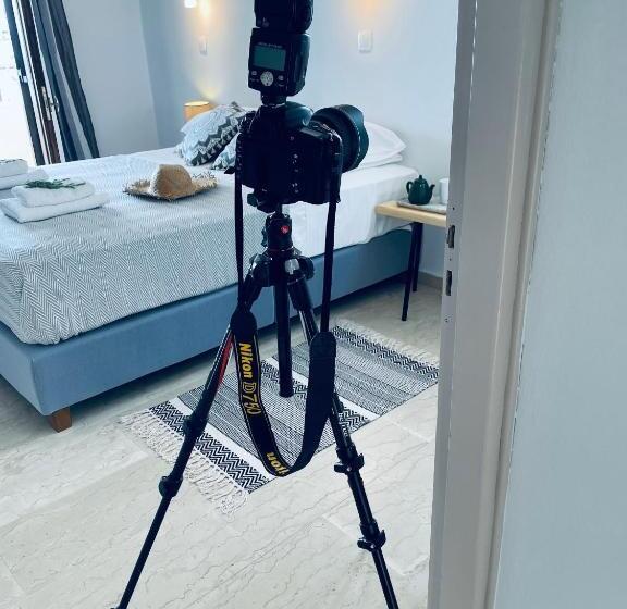 Hotel Golden Mare   All Inclusive