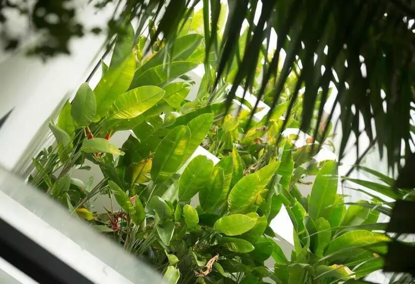 هتل Monthara Angkor Residence