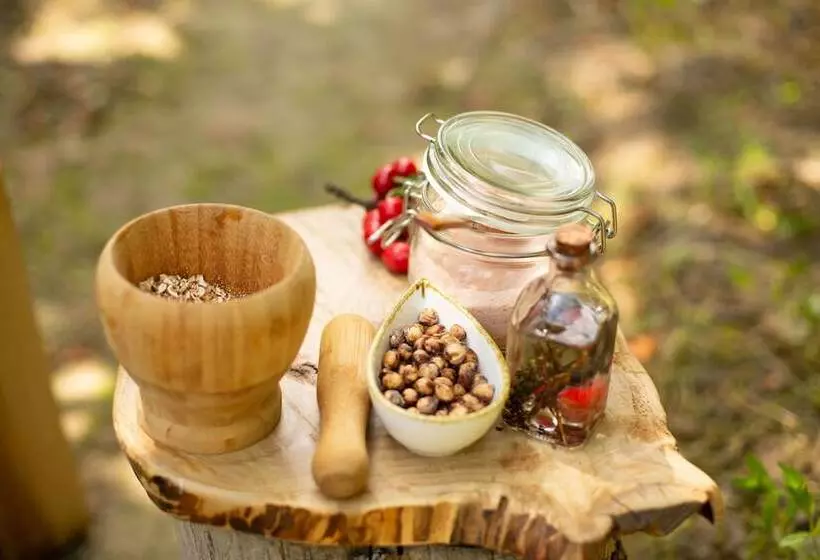 田舎風ホテル Quinta Dos Padres Santos, Agroturismo & Spa