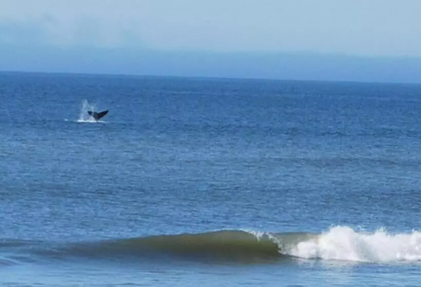 Terrazas De Aguas Dulces