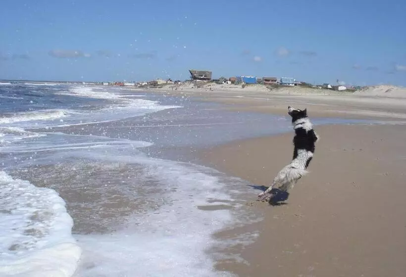 Terrazas De Aguas Dulces