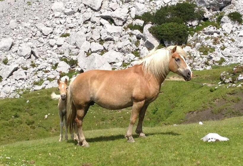 Vital   Und Wellnesshotel Hanneshof