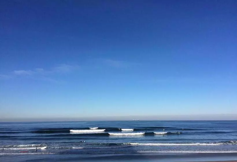 Alamar Salinas   Hostel