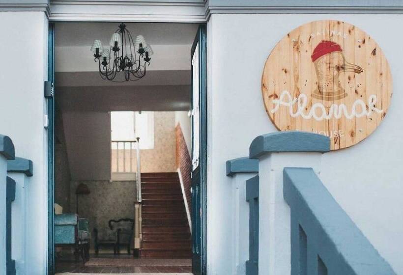 Alamar Salinas   Hostel