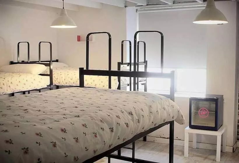 Alamar Salinas   Hostel