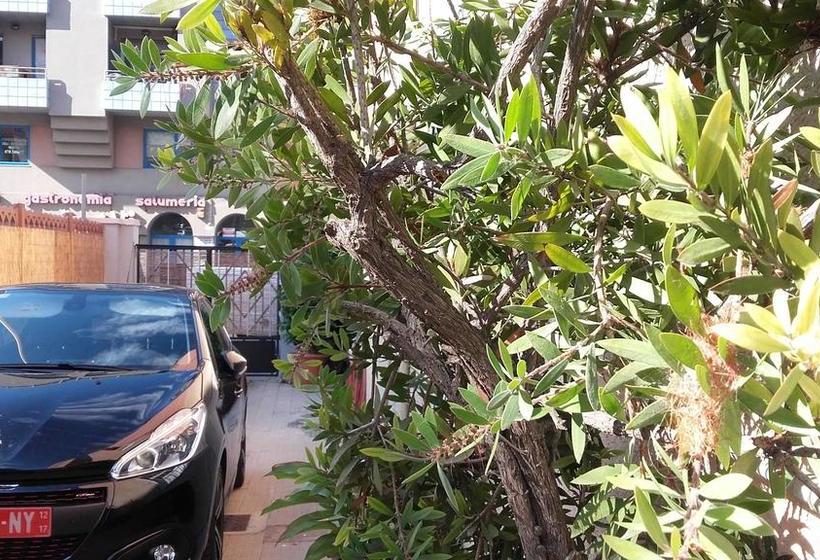 Bed And Breakfast Le Pavoncelle