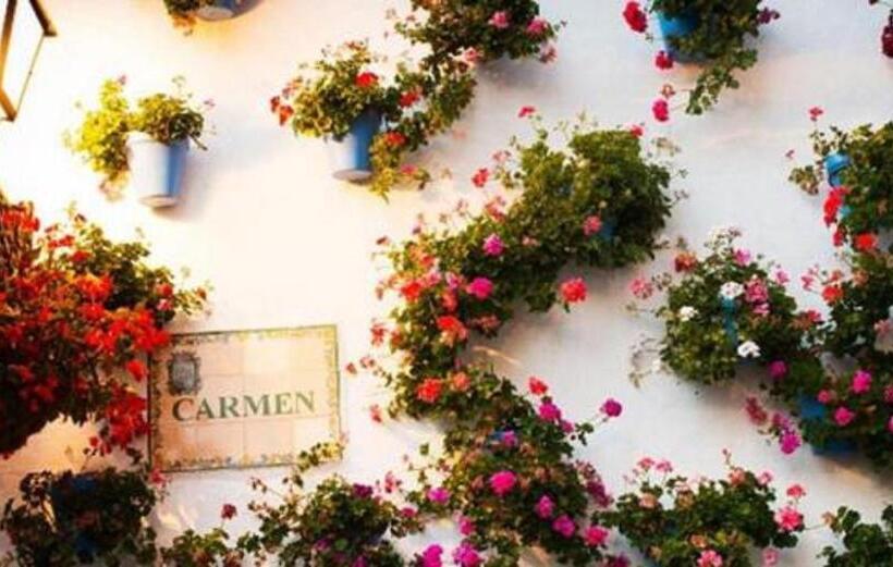 Bed and Breakfast H Juan