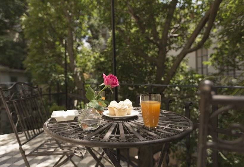 Gatto Perso Luxury Studio Apartments