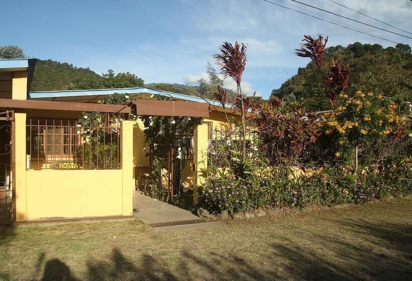 Hostal Gaia   Hostel