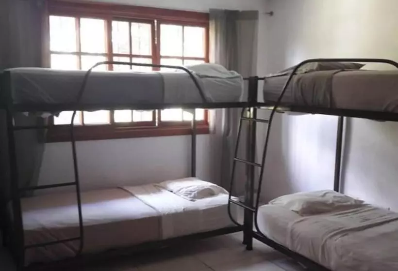 Hostal Gaia   Hostel