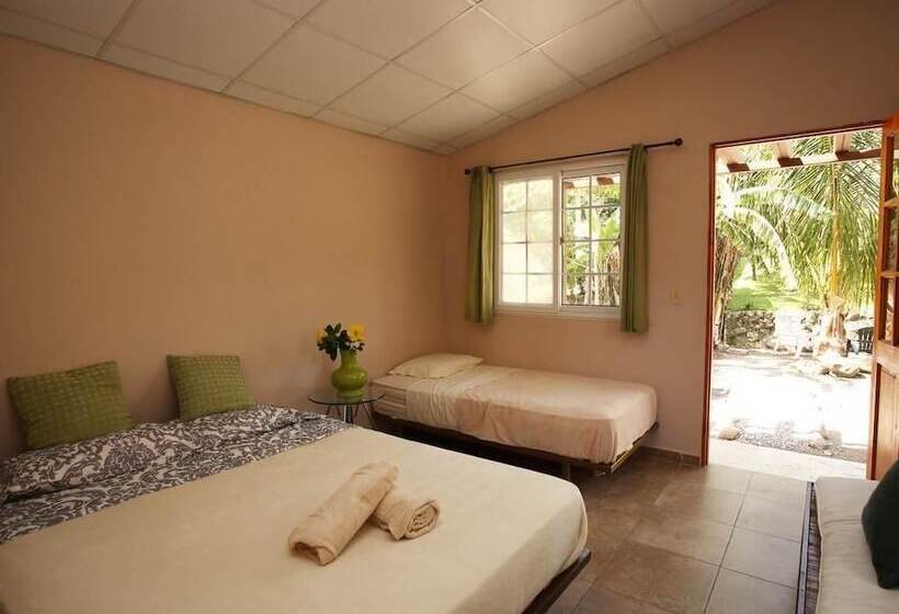 Hostal Gaia   Hostel