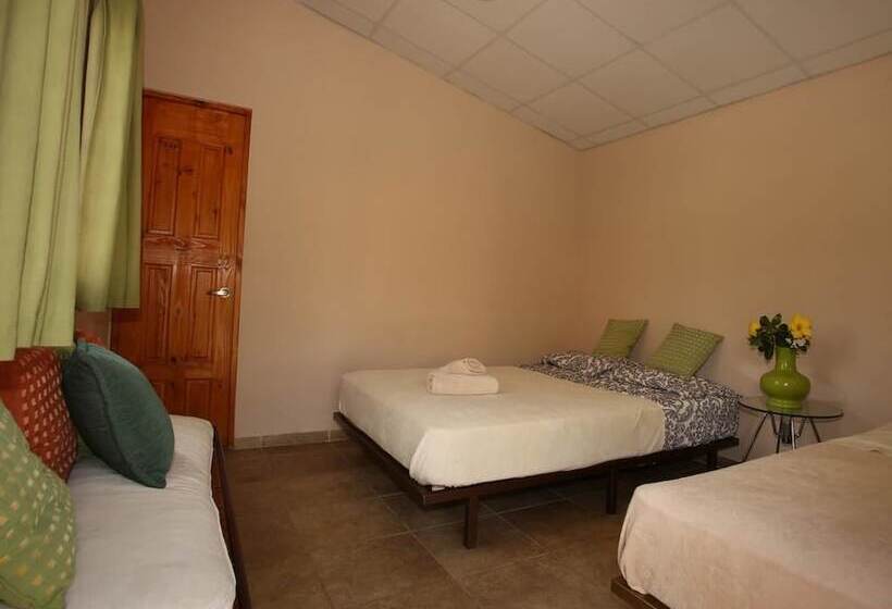 Hostal Gaia   Hostel