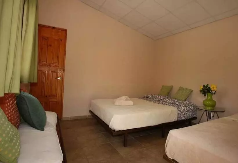 Hostal Gaia   Hostel