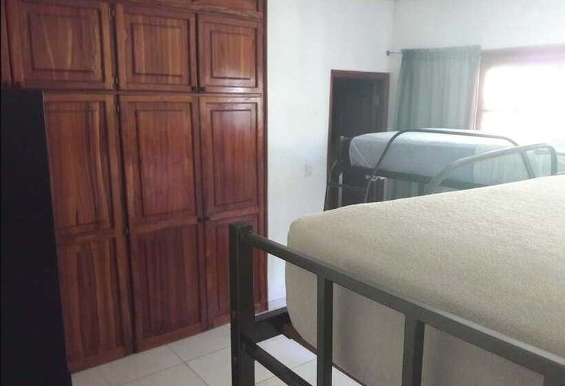 Hostal Gaia   Hostel