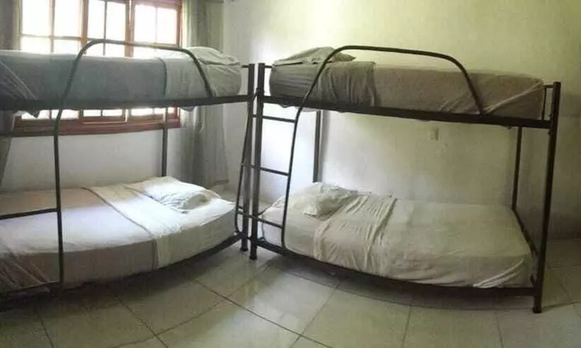 Hostal Gaia   Hostel