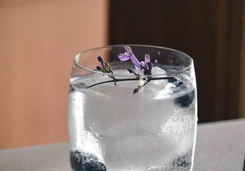 هتل Casa Blanca 7